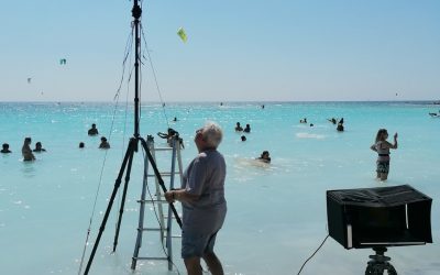 MASSIMO VITALI, Leporello 2020. No Country for old men