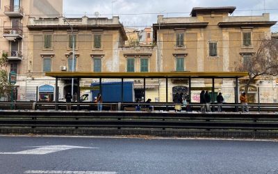 Ideale, nuovo progetto under 35 per il territorio
