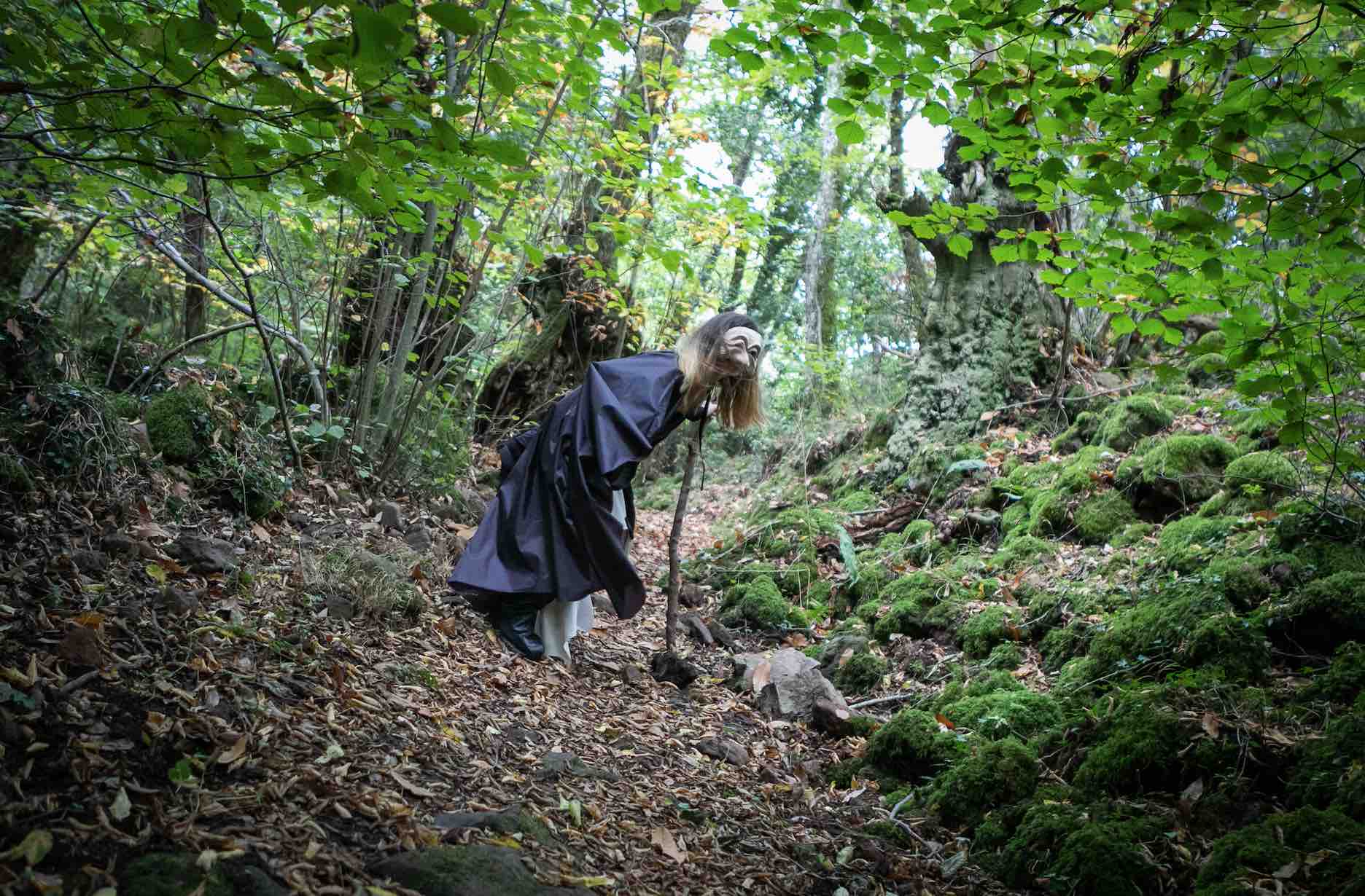 Il Bosco Sulla Francigena: parte lo spettacolo itinerante