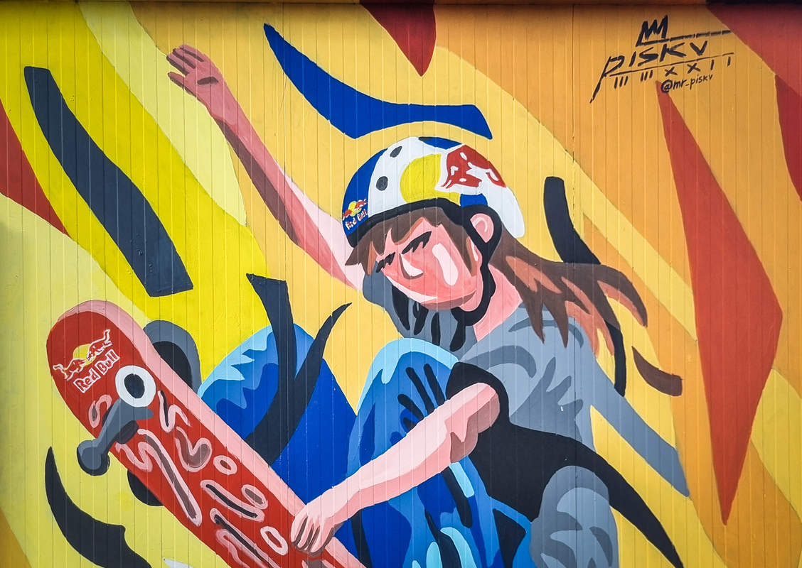 Skate Park ragazza murales colori